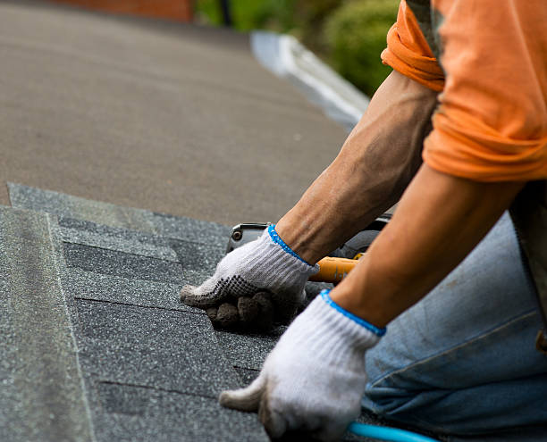 Best Storm Damage Roof Repair  in Fayette, IA