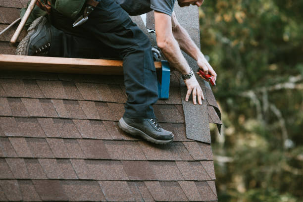 Best Roof Leak Repair  in Fayette, IA