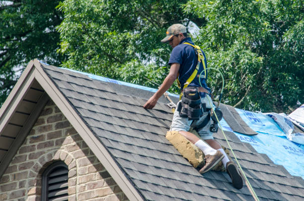 Roof Waterproofing Services in Fayette, IA